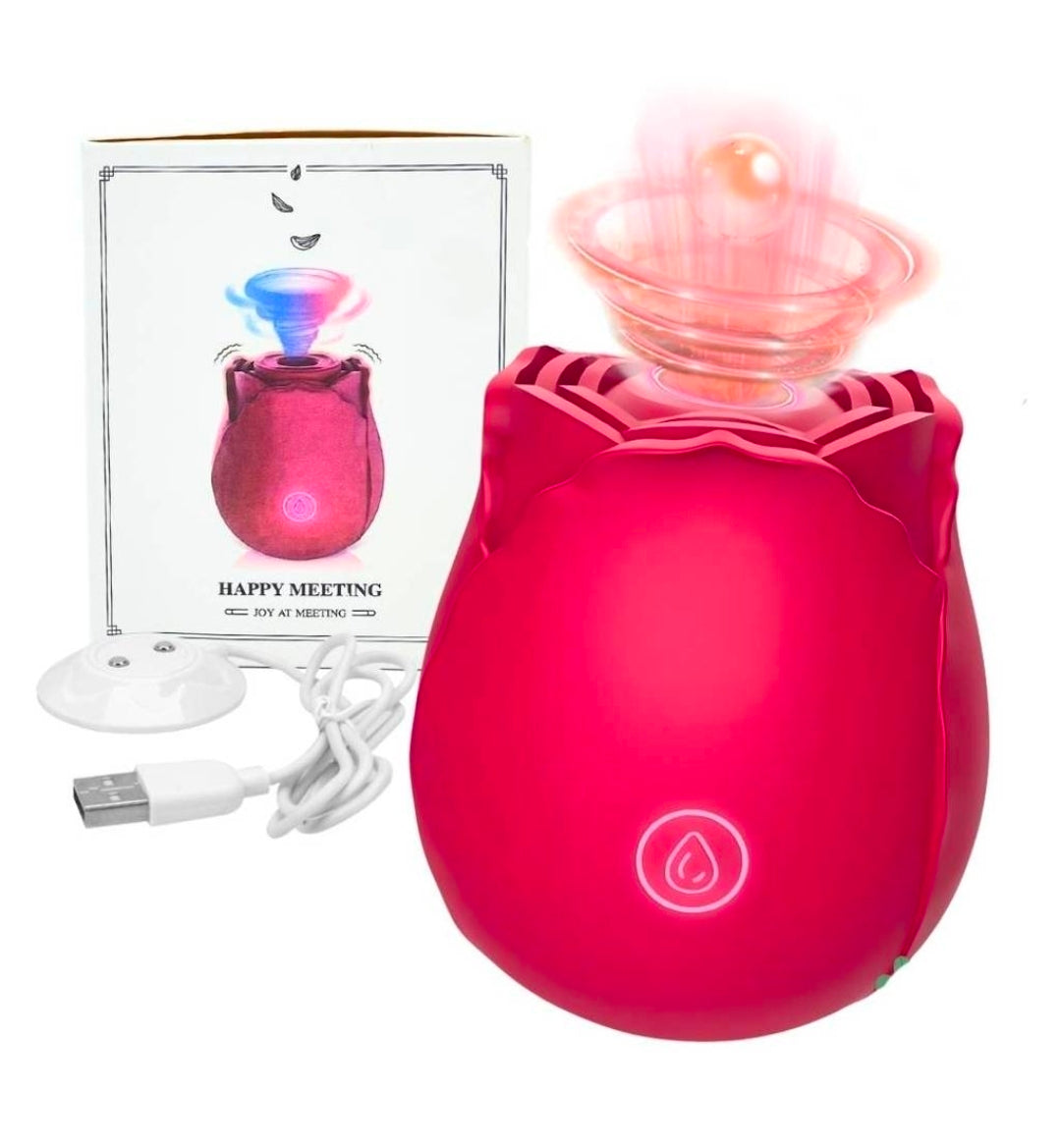 Succionador de Clítoris Recargable USB con Vibración